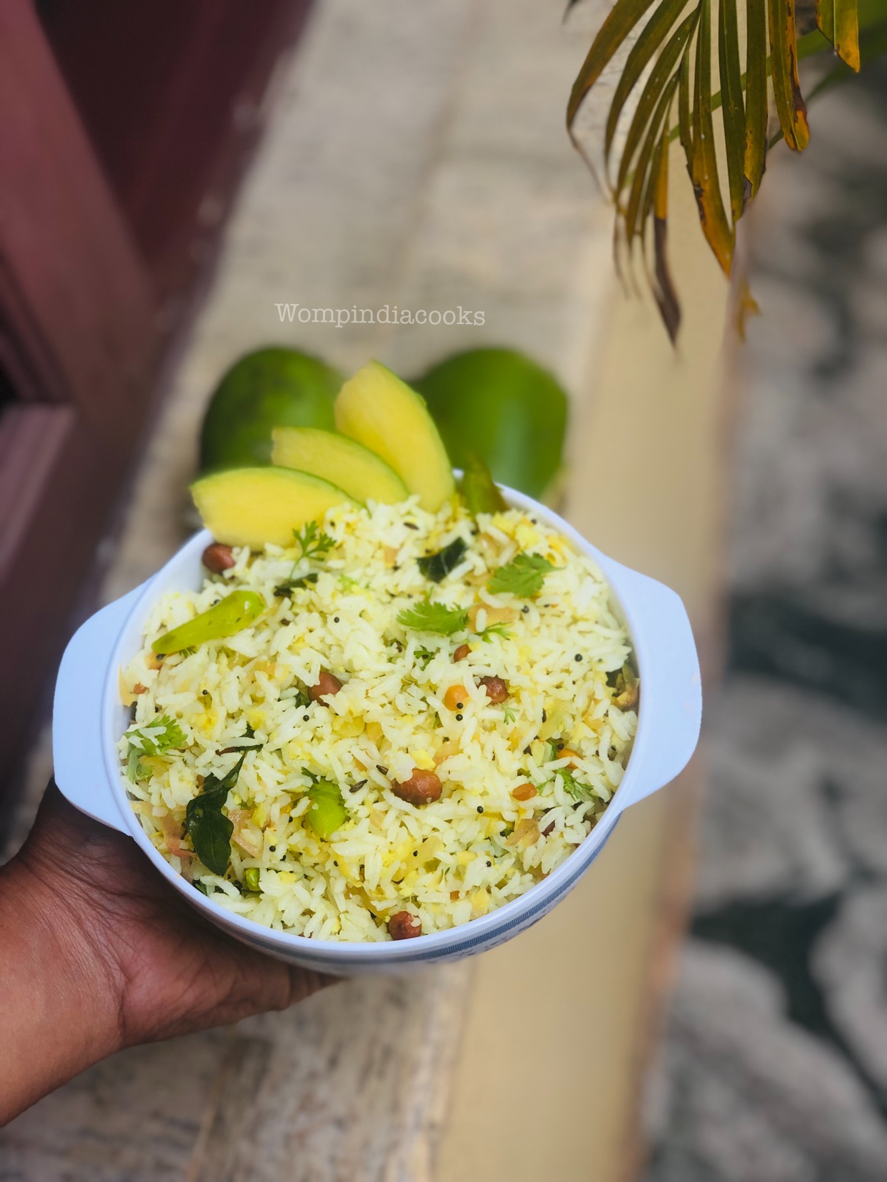 Mango rice / Mavinkayi Chitranna